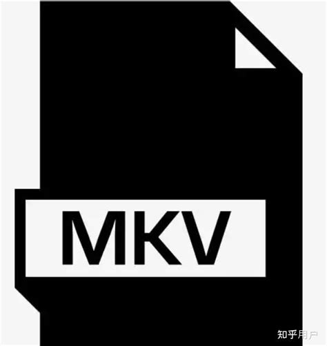 介绍一款【快速】【无损】将MKV格式转为MP4格式的软件 - 哔哩哔哩