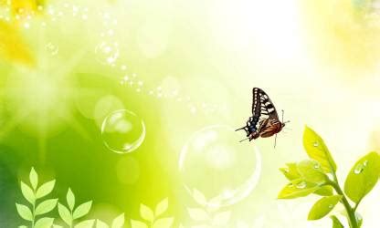 butterfly poster & Titli POSTERS, Dragonfly Poster, Insects Poster ...