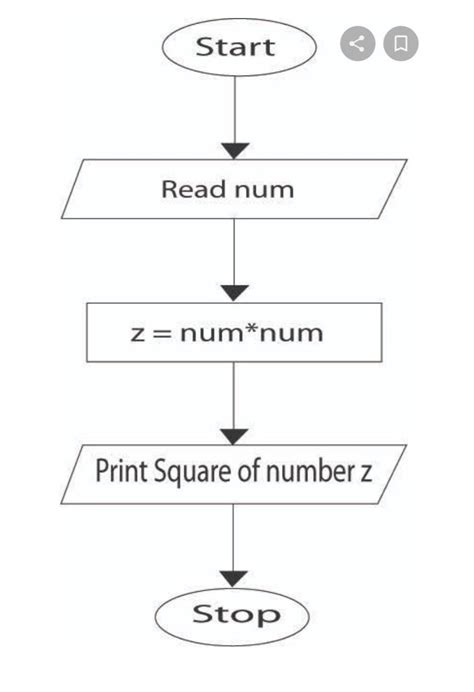 draw the algorithm of square of a number? (phote) - Brainly.in