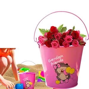 Sisq Mini Metal Bucket with Dual Handles | Durable Galvanized Small ...