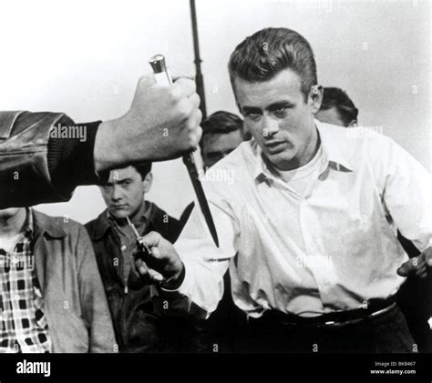 James dean rebel without cause 1955 hi-res stock photography and images ...
