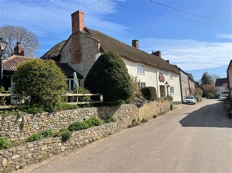 KINGS ARMS INN STOCKLAND - Menu, Prices & Restaurant Reviews - Tripadvisor