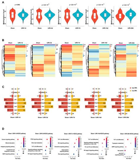 Integration of DNA Methylome and Transcriptome Analysis to Identify ...