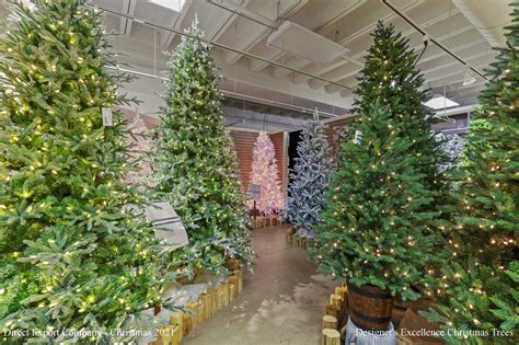 Direct Export 的图像结果