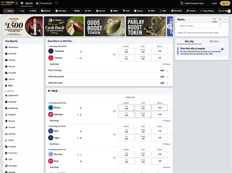 Image result for Python Code Aesthesic