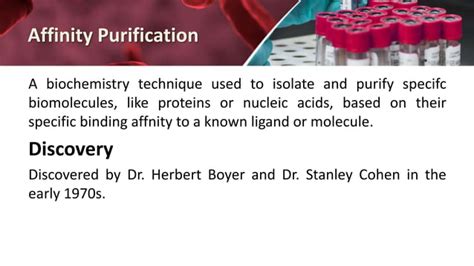 Affinity Purification 的图像结果