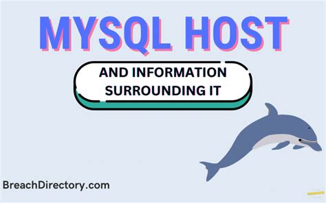 MySQL Host 的图像结果
