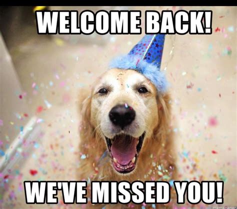 Image result for Cat Sketch Tutorial