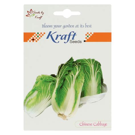 Chinese Cabbage Seeds By Kraft Seeds | Desertcart INDIA