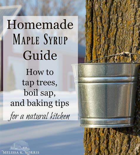 Image result for Homemade Maple Syrup Taps