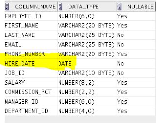 Image result for Oracle SQL Developer Date Format