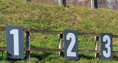 Image result for Basic Clay Target Instruction