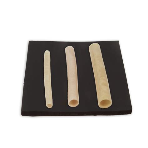 Image result for Tissue Sample during Surgery