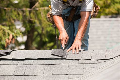 Replacing Roof Shingles: A Guide for the Informed Homeowner - Sharara Decor