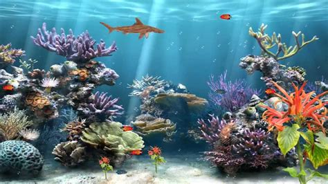 Bildergebnis für youtube screen savers background aquarium