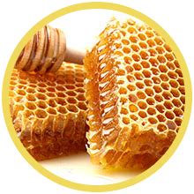 NutriPro Gold Massage Cream With Roller|Gold Leaf, 150GM : Amazon.in ...