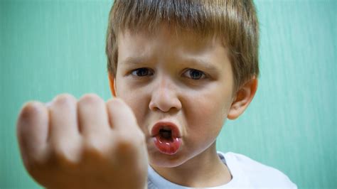 Wann schlägt Trotz in Aggression um? - Spektrum der Wissenschaft