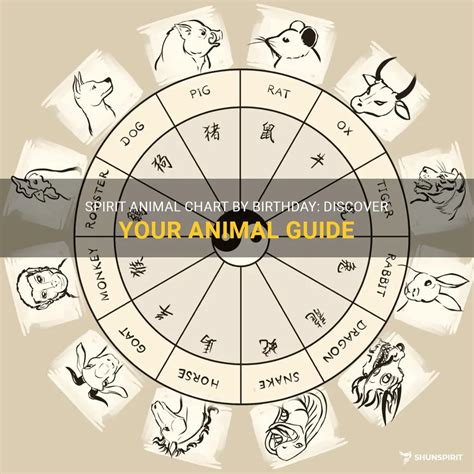 Spirit Animal Chart By Birthday: Discover Your Animal Guide | ShunSpirit