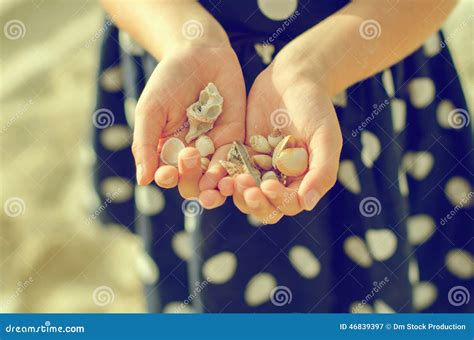 Child Hands Holding Sea Shells. Stock Image - Image of beach, person ...