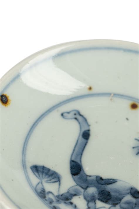 BlueButtonShop - Studio Wani - Studio-Wani-Small-Plate-Brachiosaurus-114396