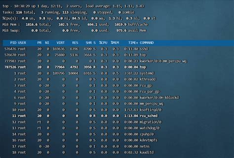 Explaining Linux Top 的图像结果