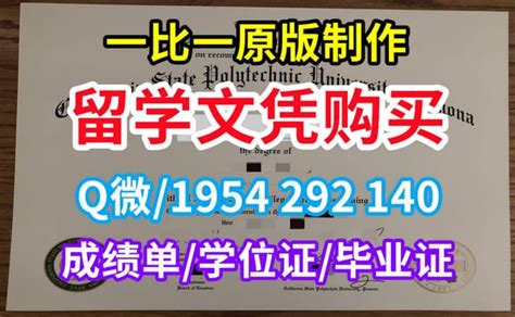 英国文凭一站式服务：伦敦南岸大学毕业证认证文凭学历证书办理步骤 | PPT