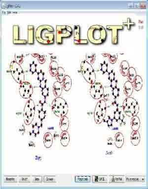 Image result for Ligplot Online Server