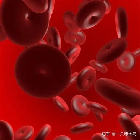 血型还能决定寿命长短？！想不到最“厉害”的血型竟是……|血型|冠心病|ABO血型_新浪新闻