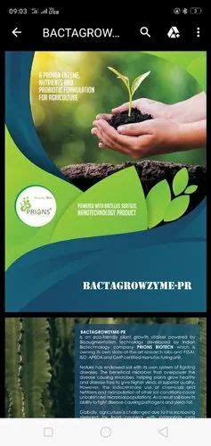 Bacillus Subtilis - Bactagrowzyme-PR Manufacturer from Belagavi