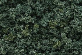 Image result for underbrush