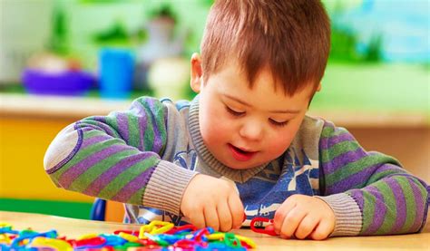 Human Brain Explained 的图像结果