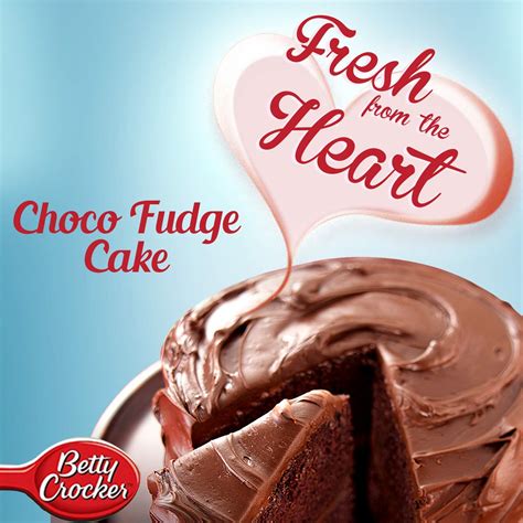 Betty Crocker Choco Fudge Cake Mix | Instant Cake Mix Powder | 3 Step ...