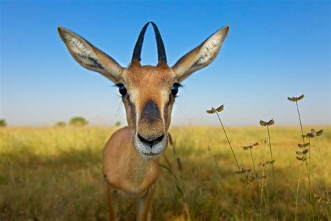 Winner 2015 | Nature inFocus