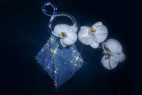 Image result for Spring Bling FL