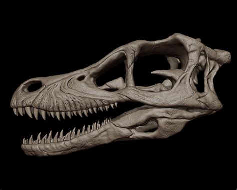 Velociraptor Skull 3d Print Model 3D model 3D printable | CGTrader
