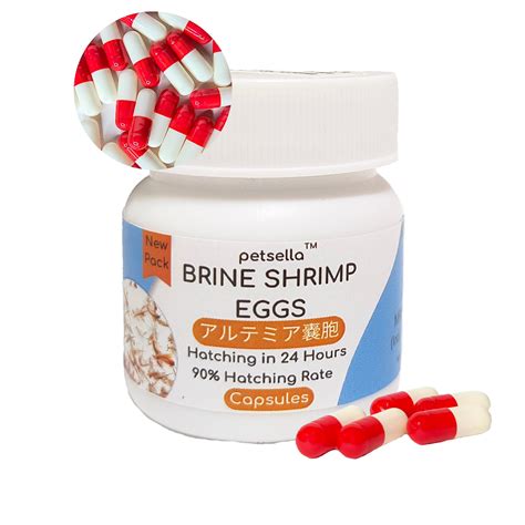 Artemia Cysts Brine Shrimp Eggs With 90 Hatching Rate In | Desertcart INDIA