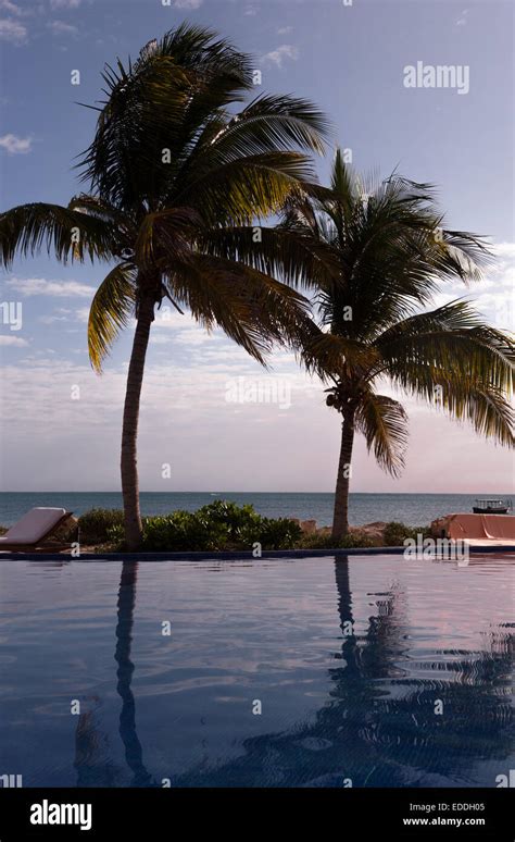 Swimming Beach 的图像结果