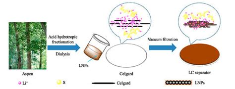 Lignin Nanoparticle-Coated Celgard Separator for High-Performance ...