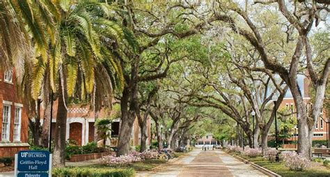 University of Florida : Ranking, Admissions, Courses, Fees, and ...