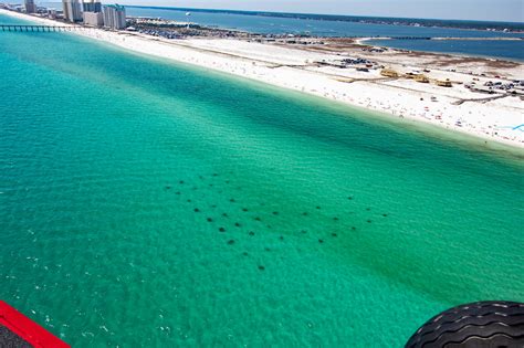 Things to do in Navarre Beach FL, activities on Navarre Beach ...