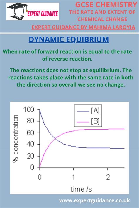 Image result for Dynamic Equibrium