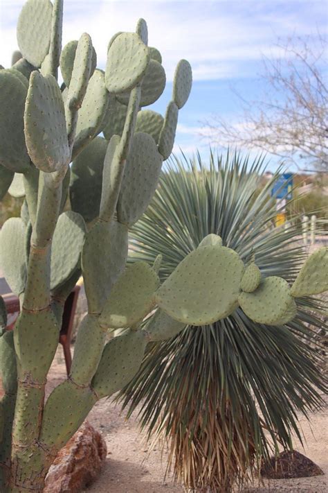 CHRISTINA TAYLOR GREEN MEMORIAL PARK (2026) All You Need to Know BEFORE ...