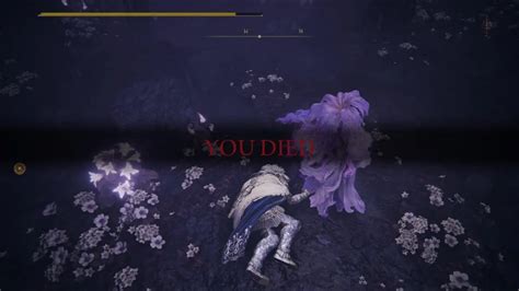 Elden Ring: Shadow of the Erdtree - St. Trina's Nectar Imbibe Questline