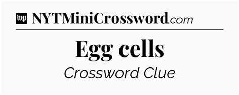 Egg cells Crossword Clue