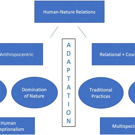 Nature and Human 的图像结果