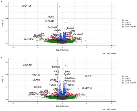 Transcriptome Analysis of BAFF/BAFF-R System in Murine Nephrotoxic ...