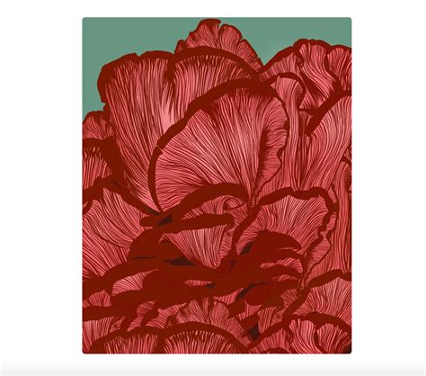 Print (The Mushroom) - C.S. Corbin Art | SHOP MADE IN DC