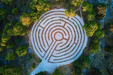 Image result for Java Tree Maze