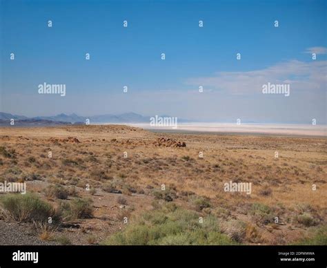 Looking across the arid, sandy, shrubby terrain of eastern Nevada into ...
