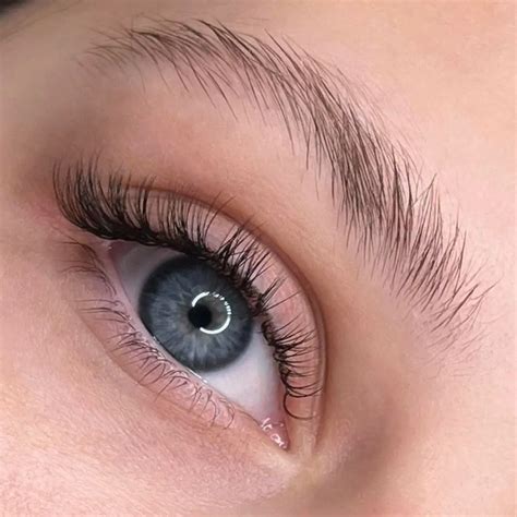 Image result for Eyelash Extensions
